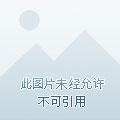 神医丑妃惹不起 书红尘