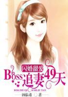 闪婚甜爱:BOSS追妻49天 闪婚甜爱:BOSS追妻49天