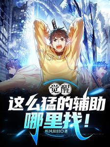 觉醒:这么猛的辅助哪里找! 觉醒:这么猛的辅助哪里找!