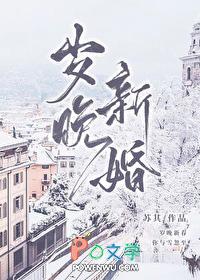 小可怜无家可归 小可怜无家可归